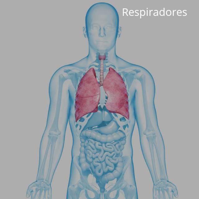 Respiradores para Covid 